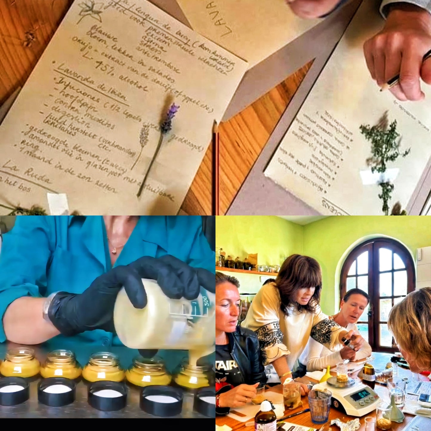 Workshop Sunday 15th of June
